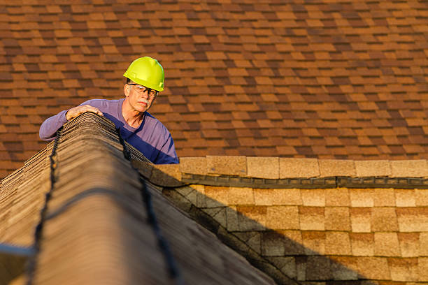 Best Roof Gutter Cleaning  in Cheboygan, MI