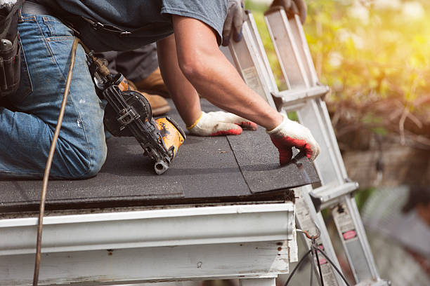 Best New Roof Installation  in Cheboygan, MI