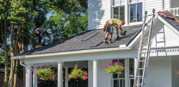 Best Flat Roof Repair Services  in Cheboygan, MI